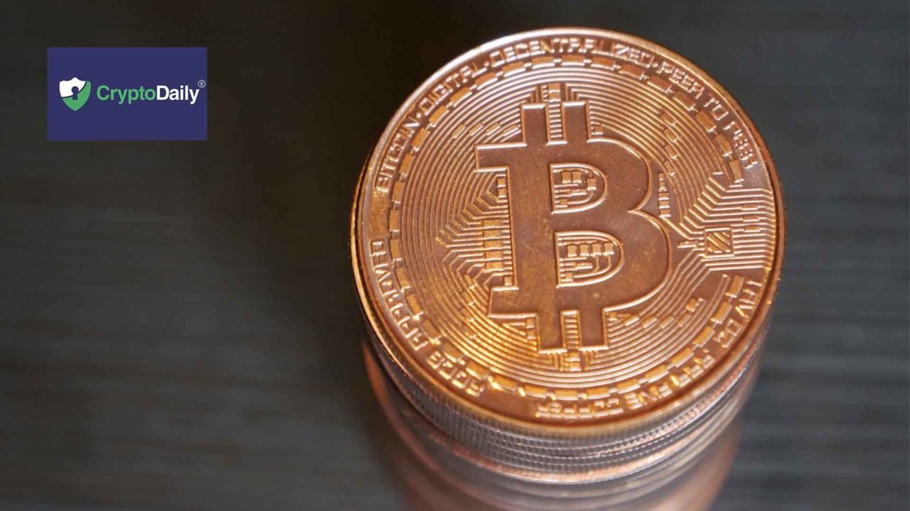 CryptoDaily Becomes Fastest-Growing Blockchain Industry News Source