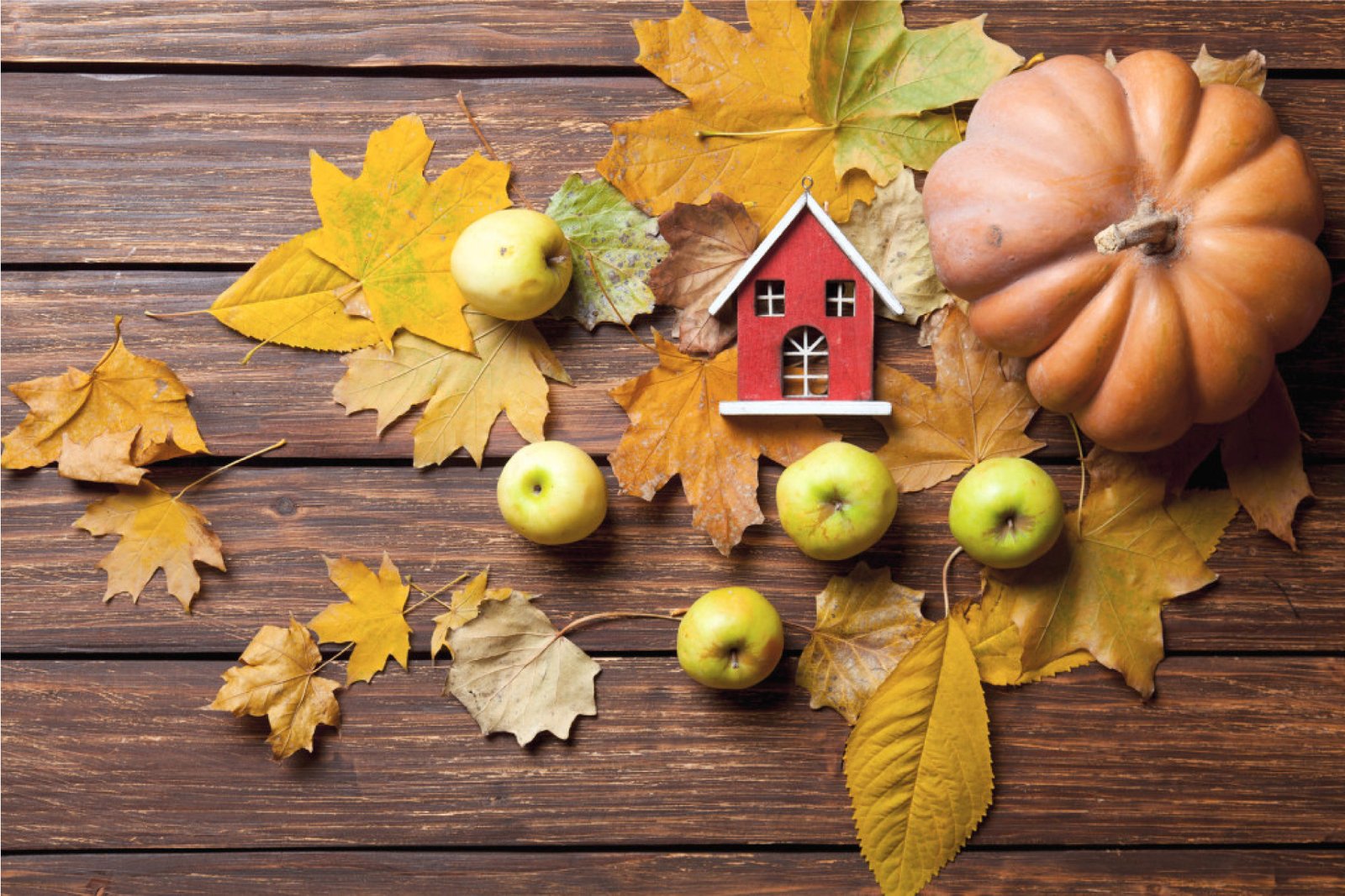 Thanksgiving Tips And Tricks – Fintech Companies Edition