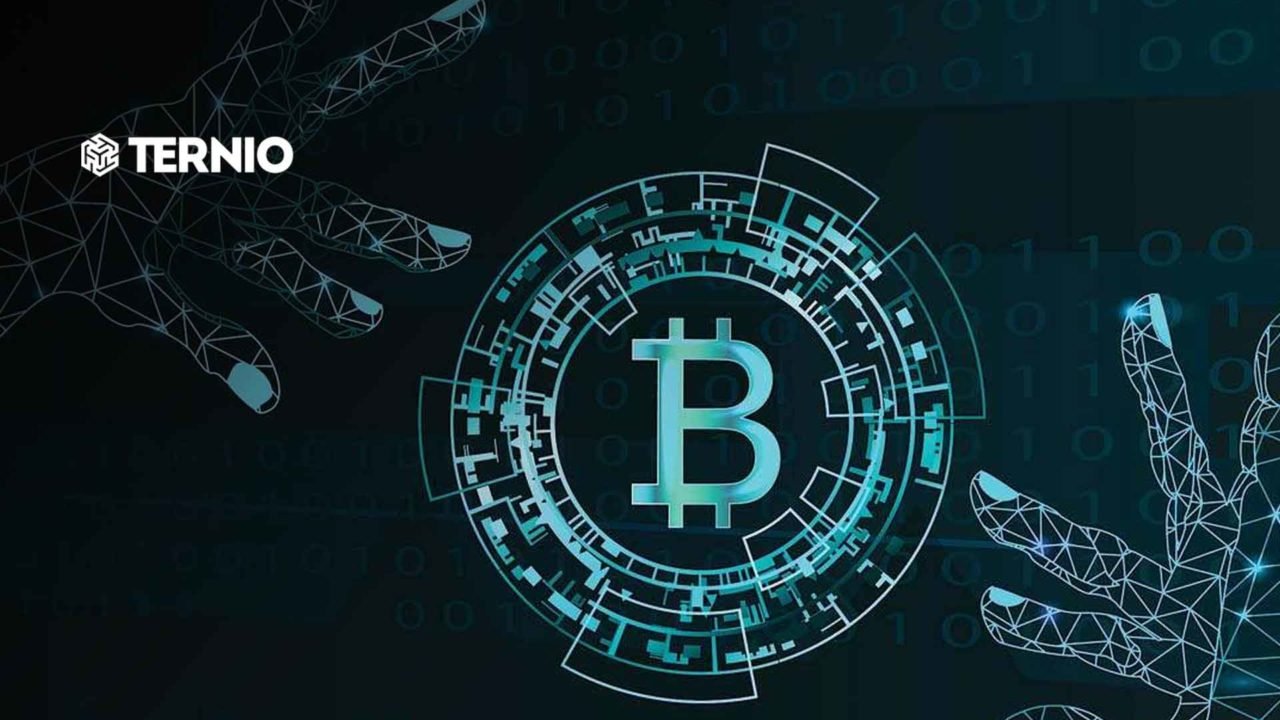 Investments Soar on Cryptocurrency Company Ternio