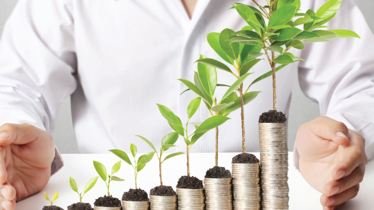 Trive appoints Niklas Helmreich, as its new Managing Director