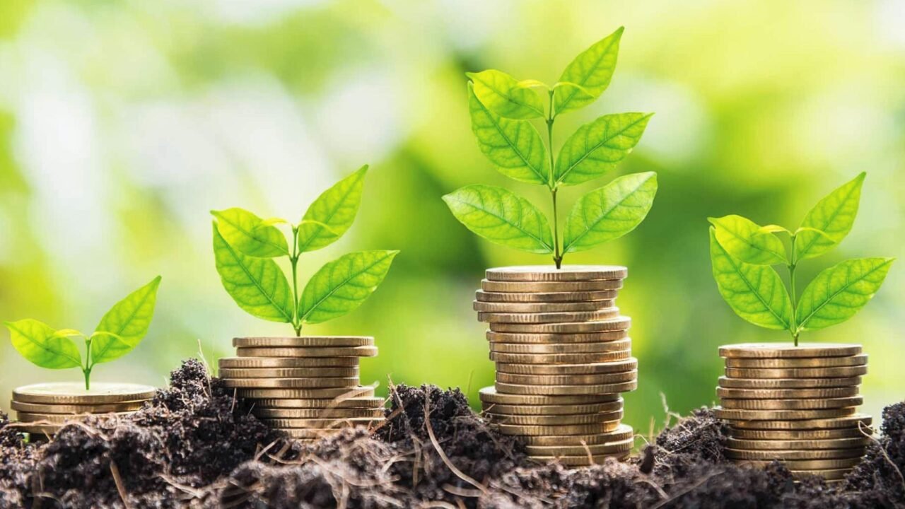 Turkish Fintech Startup Gears Up to Go Global