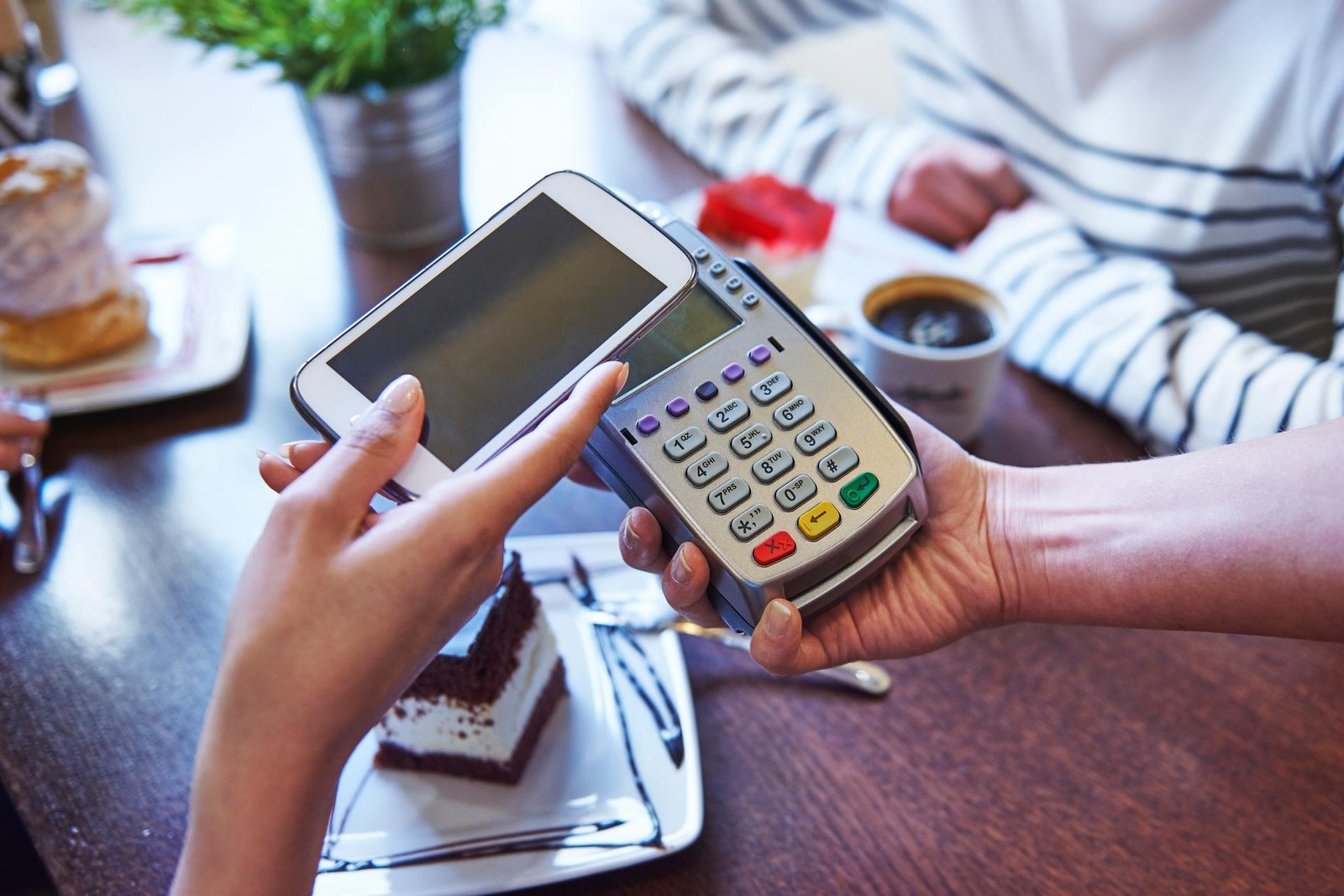 EMS (Electronic Merchant Systems)