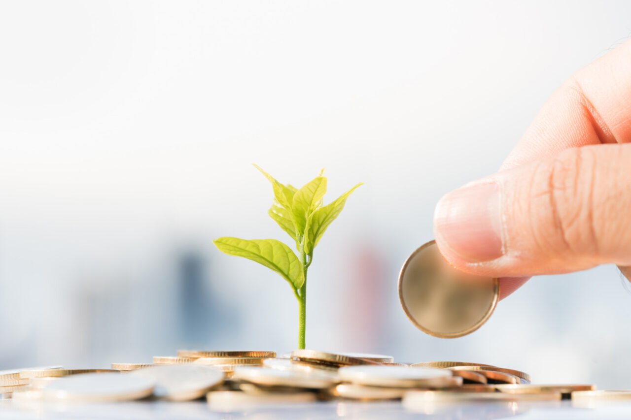 The Wealth Alliance