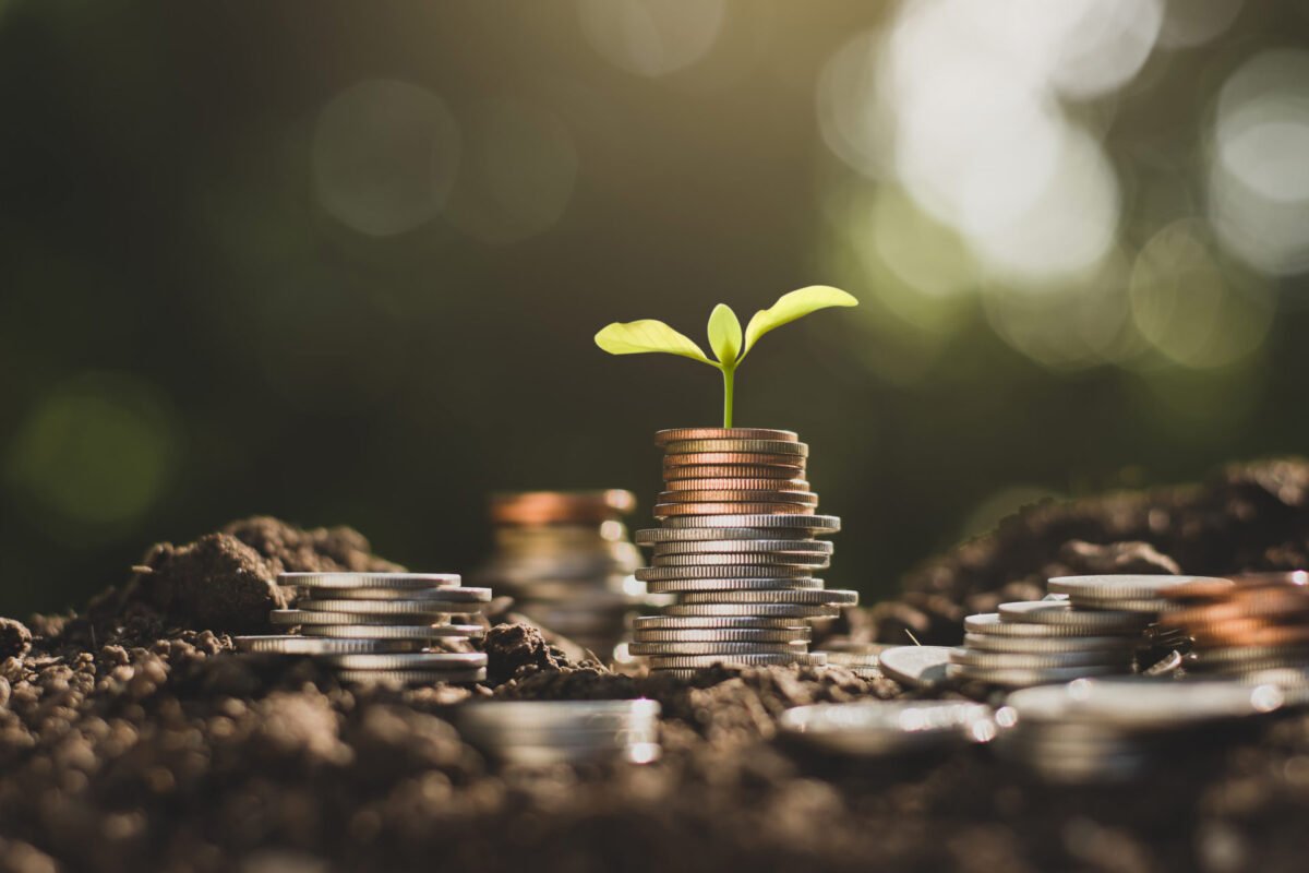 Hypha Emerges From Stealth, Announces a $50M Seed Round Hypha Emerges From Stealth, Announces a $50M Seed Round