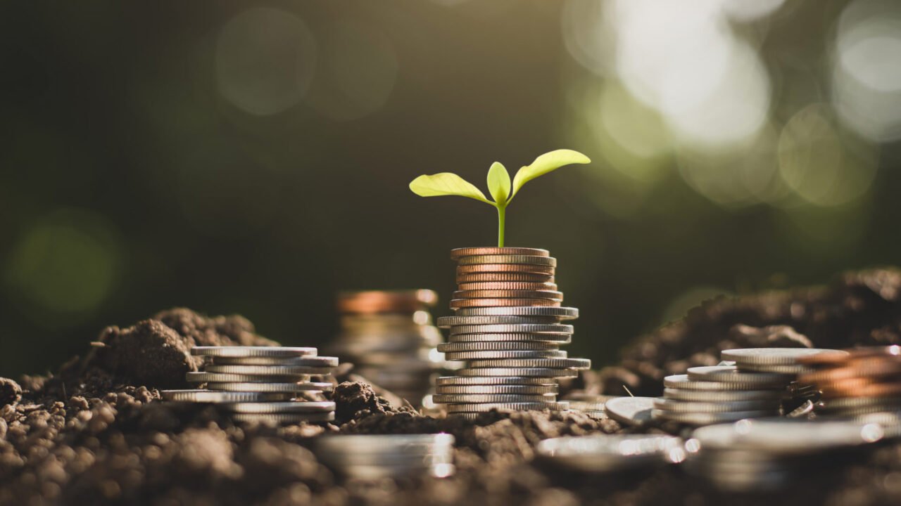 Hypha Emerges From Stealth, Announces a $50M Seed Round