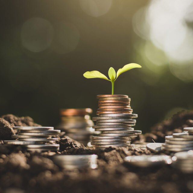 Hypha Emerges From Stealth, Announces a $50M Seed Round