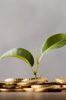 Otala.Markets announced the launch of Otala AI Pricer