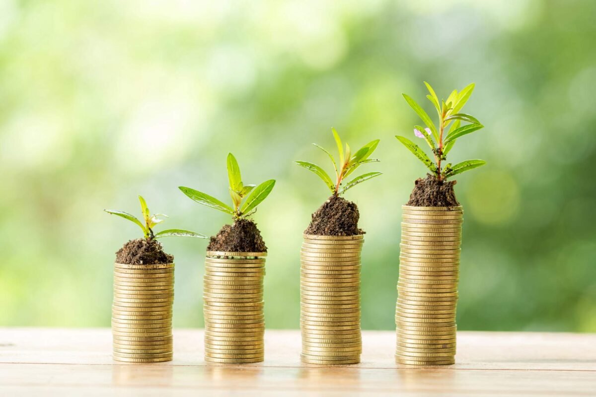 Webull Expands Private Market Access Via New SPV Investment Offering