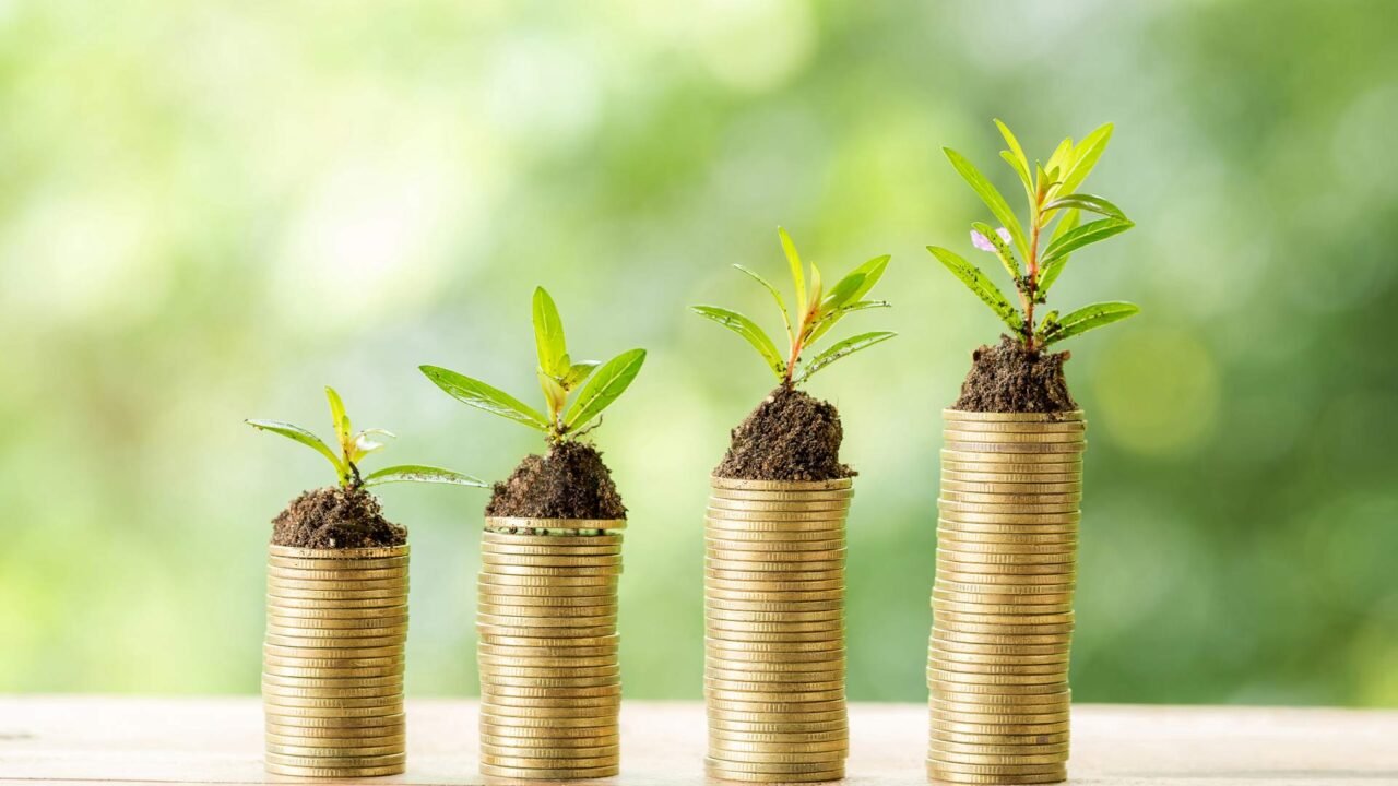 Webull Expands Private Market Access Via New SPV Investment Offering