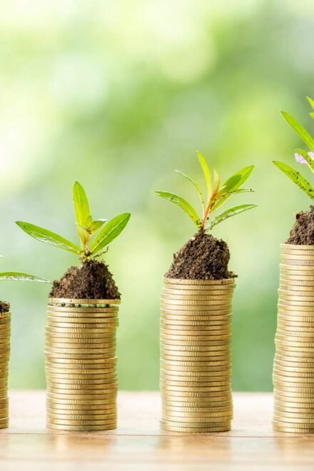Webull Expands Private Market Access Via New SPV Investment Offering