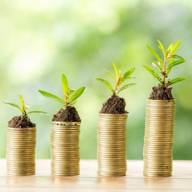 Webull Expands Private Market Access Via New SPV Investment Offering