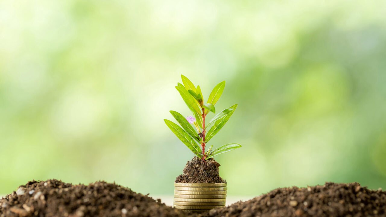 Desert Financial Credit Union Expands its Digital Investing Platform