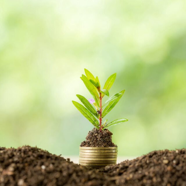 Desert Financial Credit Union Expands its Digital Investing Platform