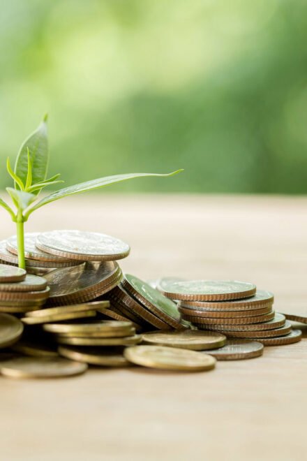 Vermiculus Delivers 24/7 Crypto Clearing System